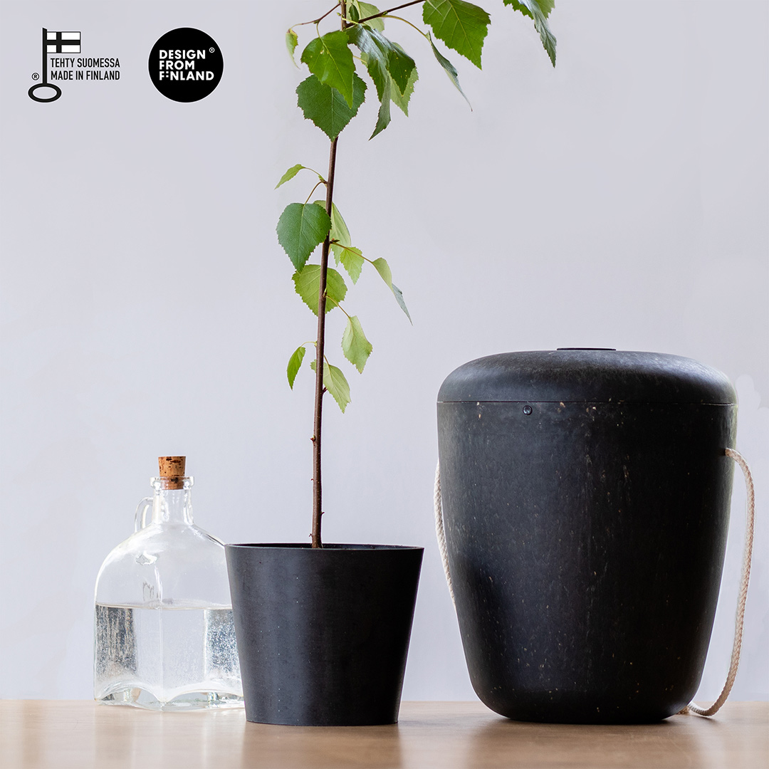benutree-tervas-muistopuu-koivu-02