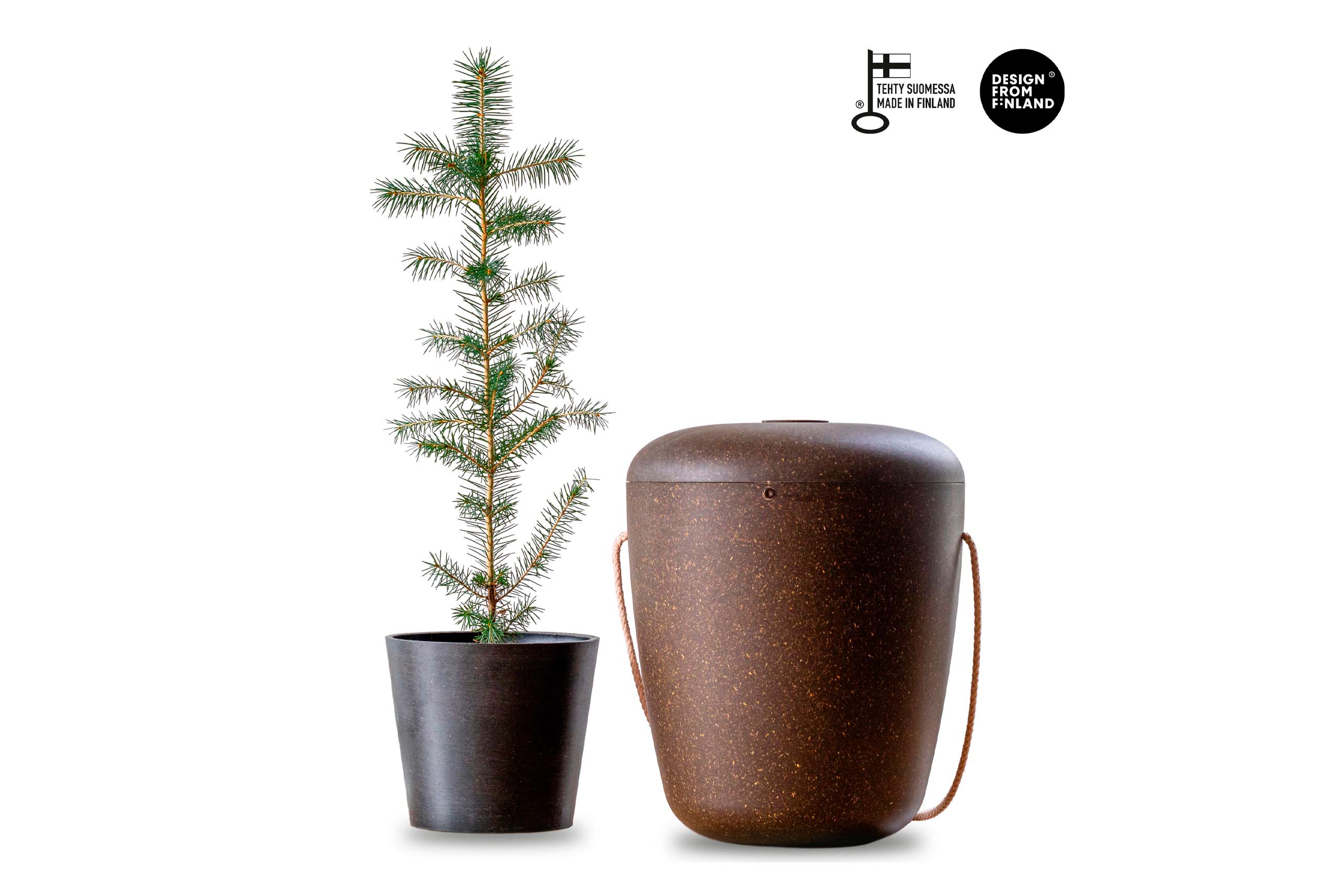 Korsi ja muistopuu thumbnail