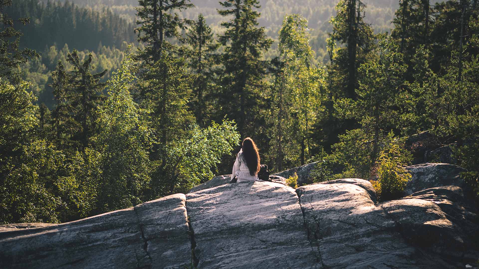 Hautakivi luonnon ystävälle
