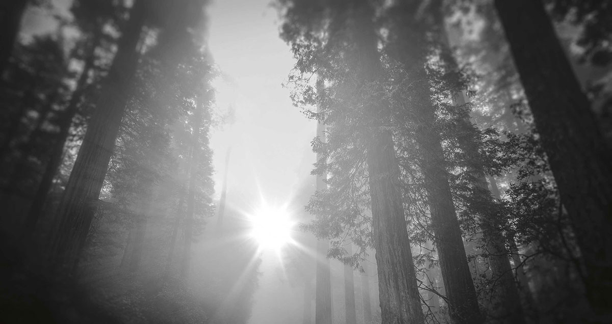 Kouvola – Hautauspalvelu Honkanen