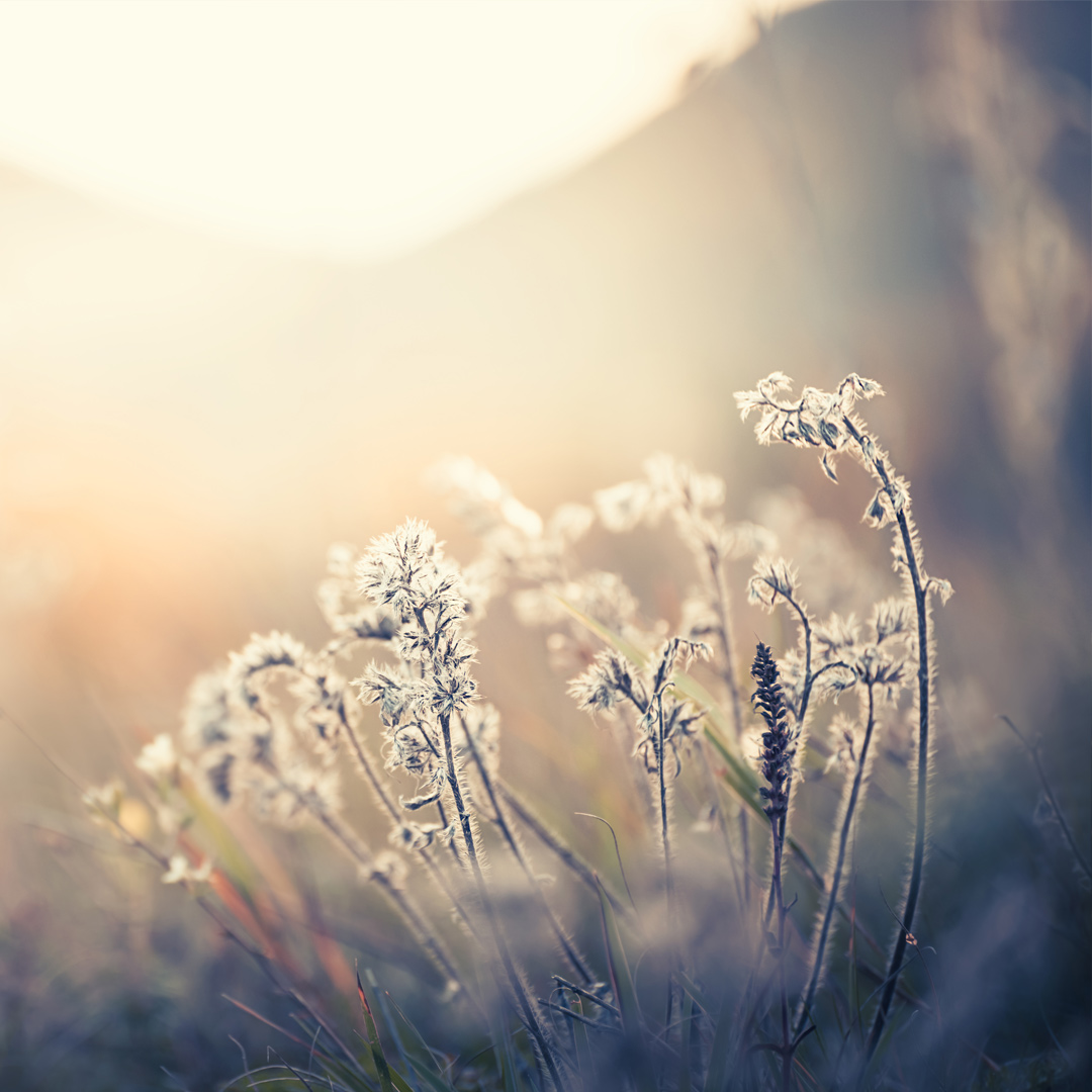 Oulu – J. Ala-Ahon Hautaustoimisto