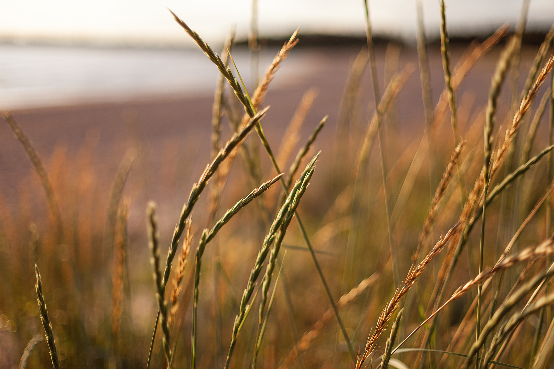 Pori – Rantasen Hautaustoimisto